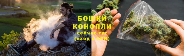 PSILOCYBIN Богородск