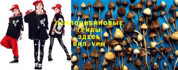 PSILOCYBIN Богородск
