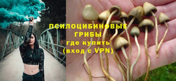 apvp Богородицк
