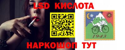 гашик Гусев