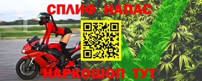 гашик Гусев