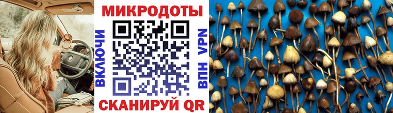 где купить наркоту  Реж  Галлюциногенные грибы мицелий 