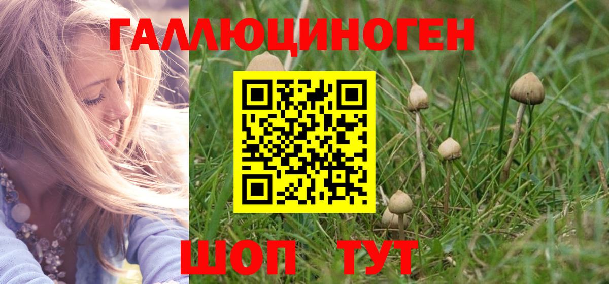 Псилоцибиновые грибы Psilocybine cubensis  Вход с VPN  Реж  Галлюциногенные грибы Cubensis 
